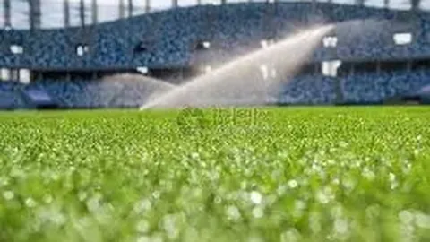 C7娱乐 产品 033721 bw6